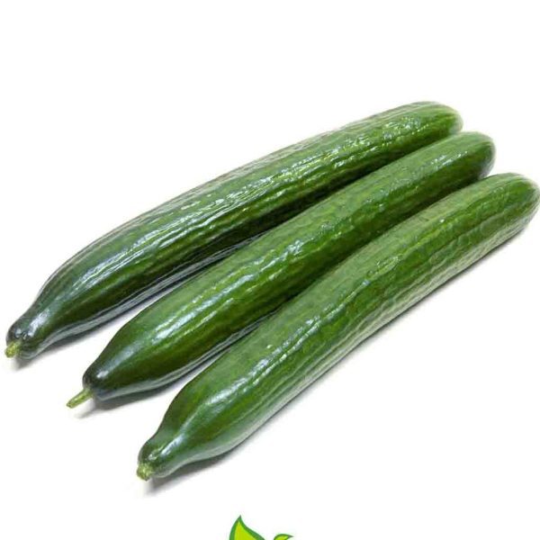 خیار سبز یزدی