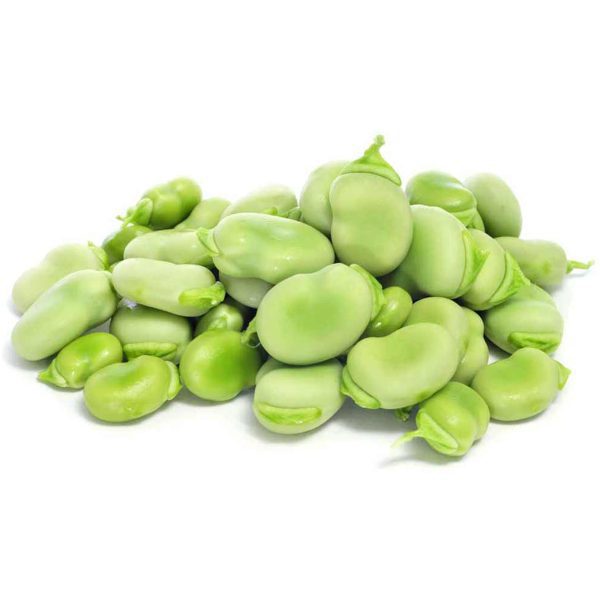 باقلا بیروتی