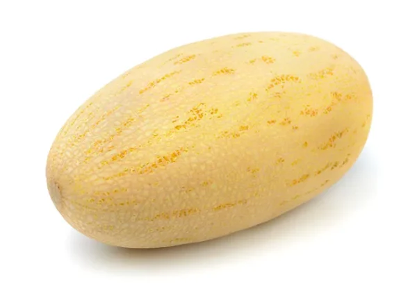 خربزه